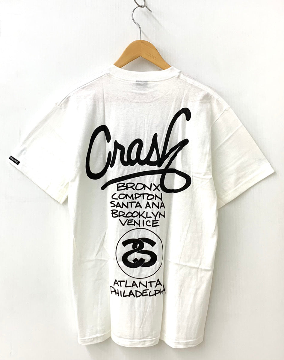 STUSSY ステューシー ワールドツアー Tシャツ