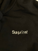 ダブレット doublet surprise! HORROR EMBROIDERY HOODIEホラーエンブロイダリーフーディ パーカー パーカ ブラック Sサイズ 101MT-3771
