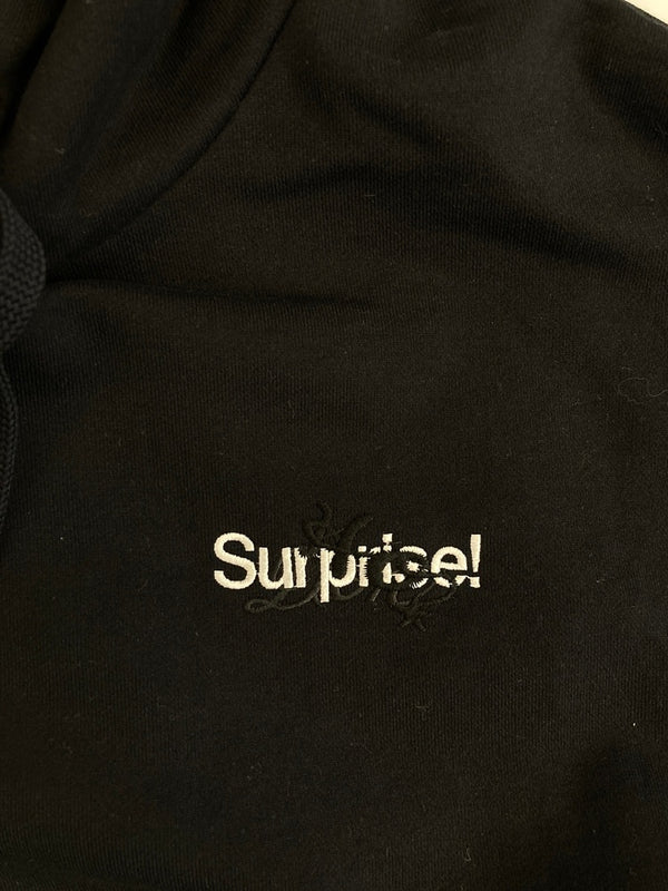 ダブレット doublet surprise! HORROR EMBROIDERY HOODIEホラーエンブロイダリーフーディ パーカー パーカ ブラック Sサイズ 101MT-3771
