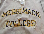 チャンピオン Champion 80年代 80s REVERSE WEAVE リバースウィーブ トリコ タグ 後期 made in USA ダメージ 80's カレッジロゴ MERRIMACK 大学 XL スウェット グレー LLサイズ 103MT-2953