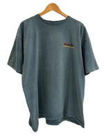 パタゴニア PATAGONIA 90s Vintage ヴィンテージ 雪なしタグ USA製 生態系 絶滅危惧種 プリントTシャツ 半袖カットソー XL Tシャツ グリーン LLサイズ 101MT-4699