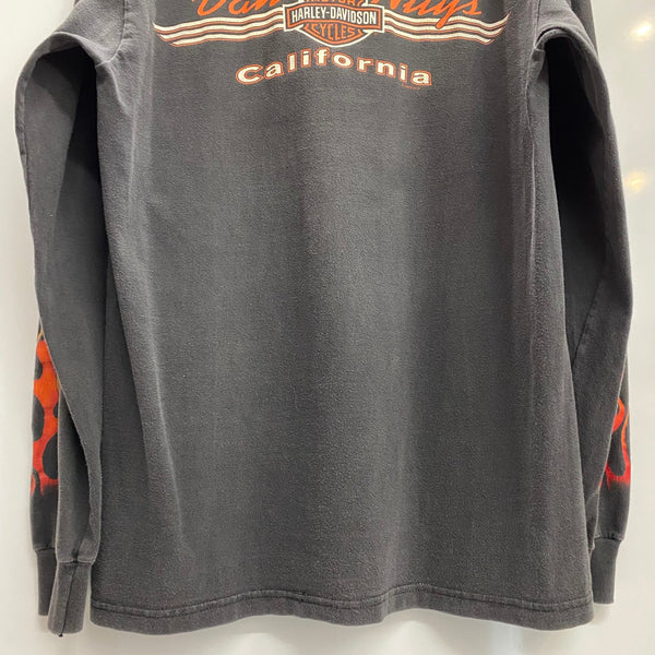 【曜日割引対象外】 ハーレーダビッドソン HARLEY-DAVIDSON 90's V FLAME USA製 フレイムパターン ロンT ブラック Mサイズ 201MT-4597 VB