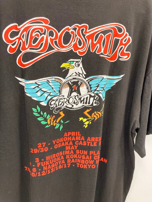 バンドTシャツ BAND-T 90s エアロスミス AEROSMITH 1993 Tour T-Shirt  ツアーTシャツ 黒 XL Tシャツ プリント ブラック LLサイズ 101MT-2382