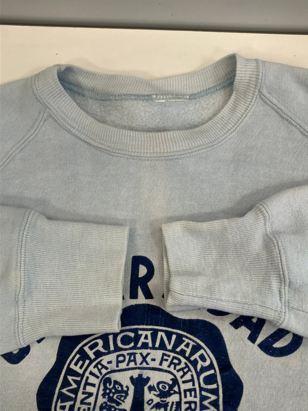 ヴィンテージ vintage 70s～ 70年代～ ラグラン カレッジ ラバープリント 3段 - スウェット ブルー 101MT-4166