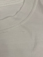 US US古着 90's~00's 90年代～ TULTEX CAPCOM カプコン DINO CRISIS ディノクライシス ゲームT 両面プリント XL Tシャツ ホワイト LLサイズ 101MT-4338