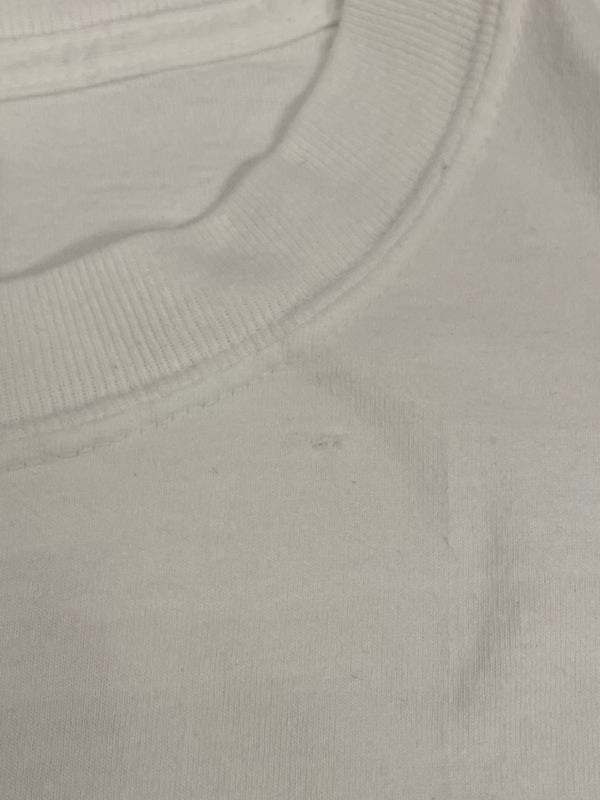 US US古着 90's~00's 90年代～ TULTEX CAPCOM カプコン DINO CRISIS ディノクライシス ゲームT 両面プリント XL Tシャツ ホワイト LLサイズ 101MT-4338