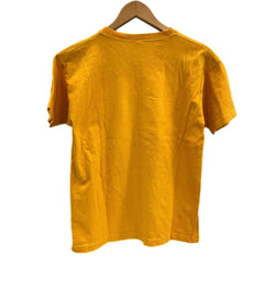 チャンピオン Champion 70’s 70年代 バータグ ILLINOIS STATE カレッジロゴ プリント vintage ヴィンテージ made in USA アメリカ製 Tシャツ オレンジ Lサイズ 101MT-4117