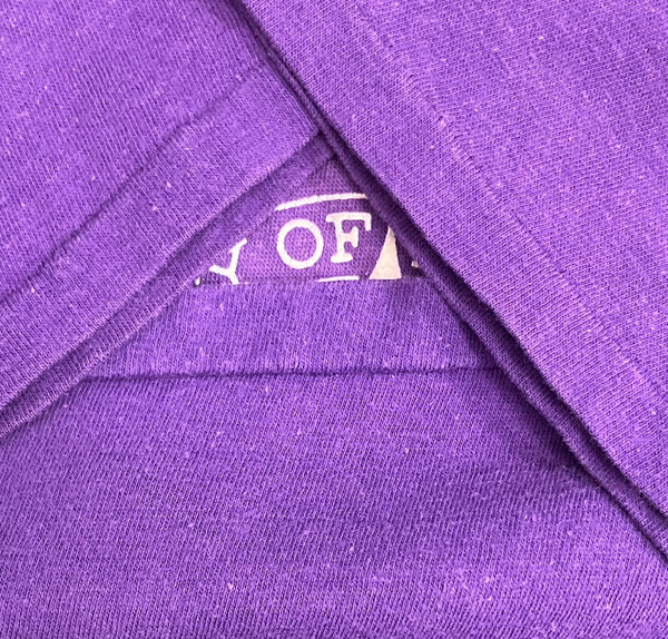 チャンピオン Champion 80's 80年代 トリコタグ カレッジロゴ EVANSVILLE エバンズビル大学 2段プリント  VINTAGE ヴィンテージ Tシャツ パープル Lサイズ 101MT-4750