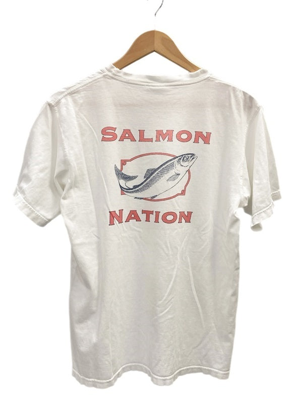 パタゴニア PATAGONIA 90s 90's Beneficial T's SALMON NATION サーモン ネーション ヴィンテージTシャツ  Tシャツ プリント ホワイト Sサイズ 101MT-2305 | 古着通販のドンドンサガール