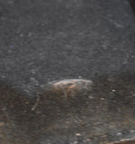 ラルフローレン RalphLauren 斜めがけ ショルダー レザー ミニバッグ 黒  バッグ レディースバッグ ショルダーバッグ・メッセンジャーバッグ ブラック 103B-88