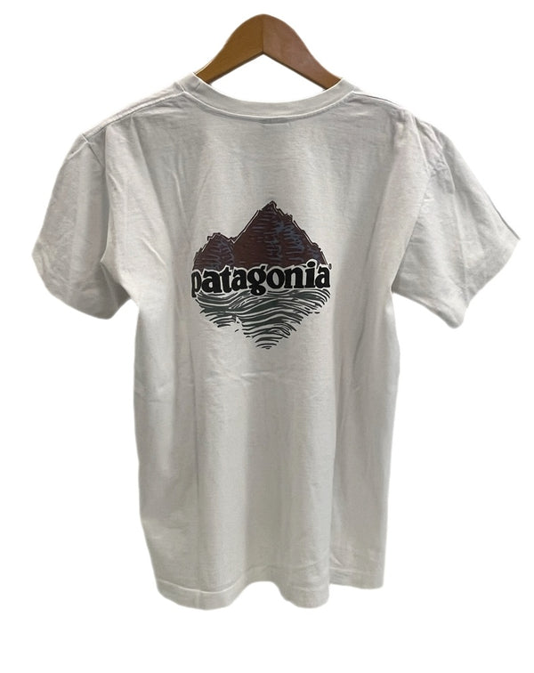 パタゴニア PATAGONIA 90s Vintage ヴィンテージ USA製 フィッツロイ山プリントTee 白 Tシャツ ホワイト Mサイズ 101MT-4731