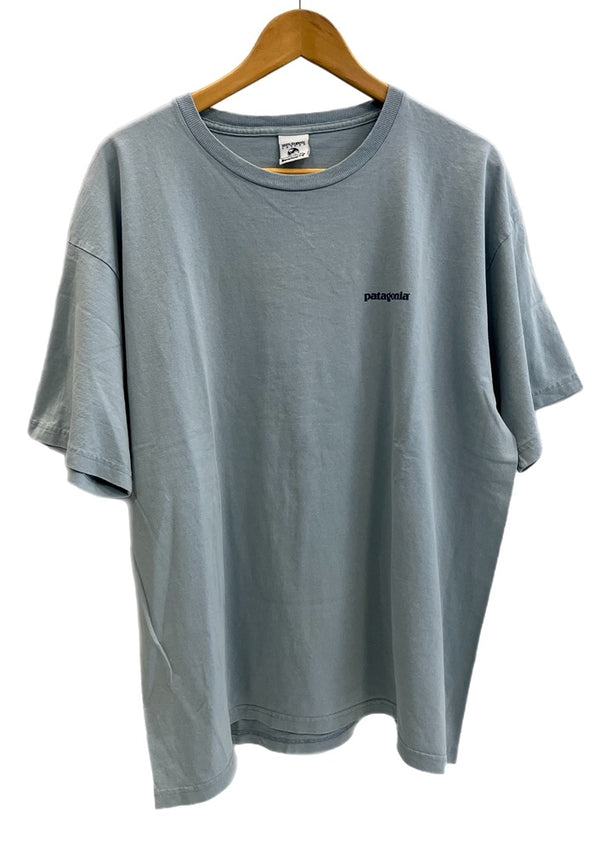 パタゴニア PATAGONIA 90s Vintage ヴィンテージ Benetical T's 浮世絵プリント 水色 XL Tシャツ ブルー LLサイズ 101MT-4697