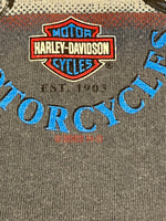 ハーレーダビッドソン Harley-Davidson 00's MORTERCYCLE イーグル モーターサイクル バイク バーアンドシールドロゴ 両面 プリント XL ノースリーブ ブルー LLサイズ 101MT-4537