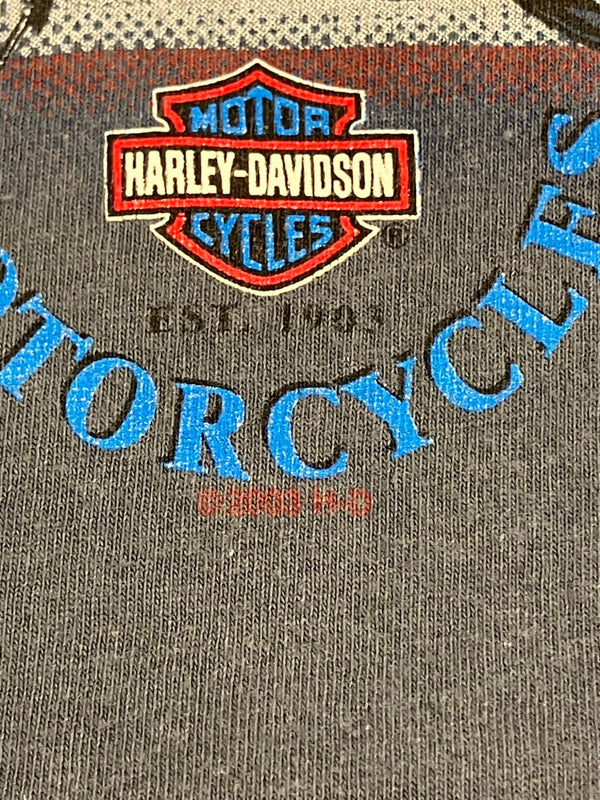 ハーレーダビッドソン Harley-Davidson 00's MORTERCYCLE イーグル モーターサイクル バイク バーアンドシールドロゴ 両面 プリント XL ノースリーブ ブルー LLサイズ 101MT-4537