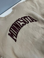 チャンピオン Champion 90s～ ヴィンテージ vintage 刺繍タグ リバースウィーブ REVERSE WEAVE MINESOTA USA製 アメリカ製 XL スウェット ベージュ LLサイズ 101MT-4476