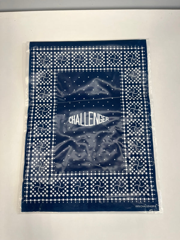 チャレンジャー CHALLENGER SHADOW PLAID SHIRT シャドープレイドシャツ ネルシャツ 青×赤 チェックシャツ チェック柄 CLG-SH 024-010 長袖シャツ マルチカラー Lサイズ 101MT-5139