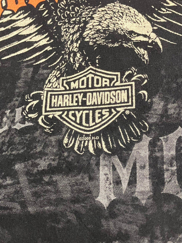 ハーレーダビッドソン Harley-Davidson 00's MORTERCYCLE イーグル モーターサイクル バイク バーアンドシールドロゴ ダイス 両面 プリント Tシャツ ブラック Lサイズ 101MT-4535