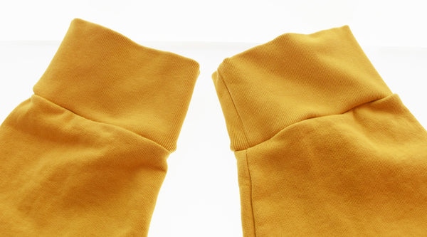 パタゴニア PATAGONIA  DAILY CREWNECK SWEATSHIRTデイリー クルーネック スウェットシャツ 22765 スウェット イエロー LLサイズ 103MT-3374