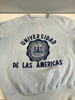 ヴィンテージ vintage 70s～ 70年代～ ラグラン カレッジ ラバープリント 3段 - スウェット ブルー 101MT-4166