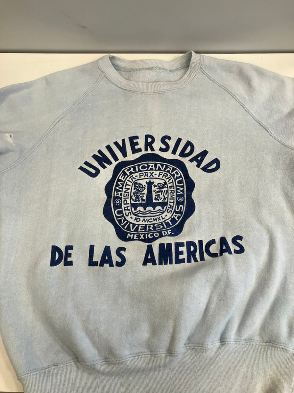 ヴィンテージ vintage 70s～ 70年代～ ラグラン カレッジ ラバープリント 3段 - スウェット ブルー 101MT-4166