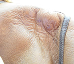 US US古着 Old US ARMY AIR FORCE B3 Flight Jacket フライトジャケット AC-1950  ジャケット ブラウン Mサイズ 103MT-3362