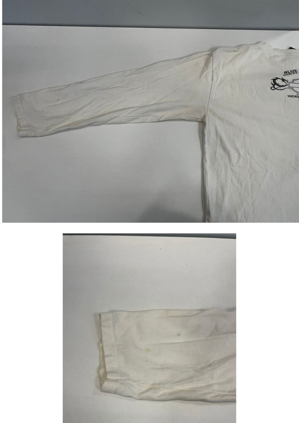 ハーレーダビッドソン Harley-Davidson 00’s BLUE RIDGE バーアンドシールドロゴ トライバル柄 袖プリント 両面プリント VINTAGE ヴィンテージ XL ロンT ホワイト LLサイズ 101MT-4567