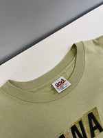 バンド band ©1993 90s ヴィンテージ NIRVANA INCESTICIDE ニルヴァーナ インセスティサイド バンT US古着 ペールグリーン シングルステッチ Tシャツ グリーン Lサイズ 101MT-4996