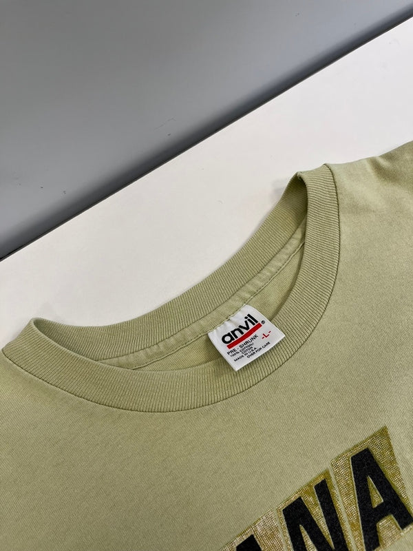 バンド band ©1993 90s ヴィンテージ NIRVANA INCESTICIDE ニルヴァーナ インセスティサイド バンT US古着 ペールグリーン シングルステッチ Tシャツ グリーン Lサイズ 101MT-4996