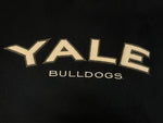 チャンピオン Champion 00s 00's リバースウィーブ REVERSE WEAVE YALE　BULLDOGS  イエール大学 カレッジ 刺繍 スウェット ネイビー Mサイズ 101MT-3108