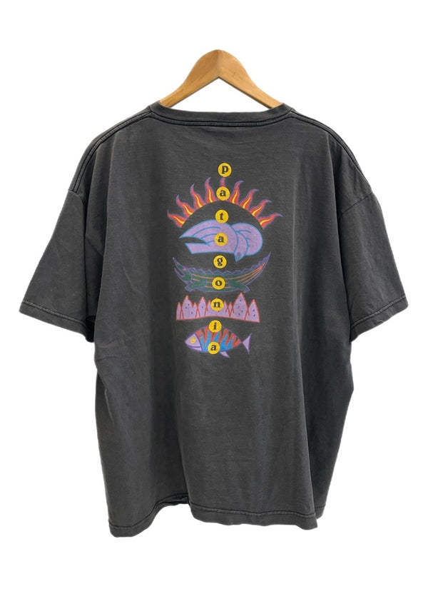 パタゴニア PATAGONIA 90s Vintage ヴィンテージ 雪なしタグ USA製 生態系 絶滅危惧種 プリントTシャツ 半袖カットソー 墨黒 XL Tシャツ ブラック LLサイズ 101MT-4700