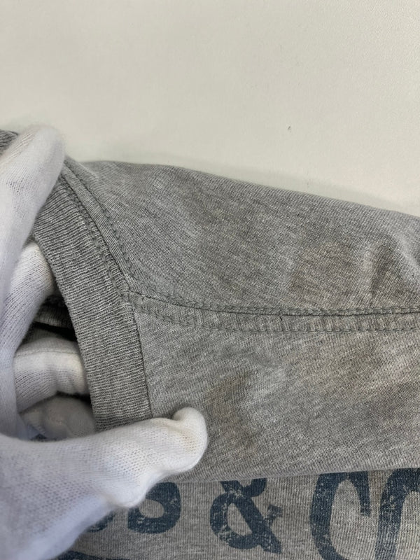 リーバイス Levi's 90s ©1995 Vintage ヴィンテージ USA製 ロゴTシャツ プリントTシャツ US古着 シングルステッチ Tシャツ グレー Mサイズ 101MT-4837