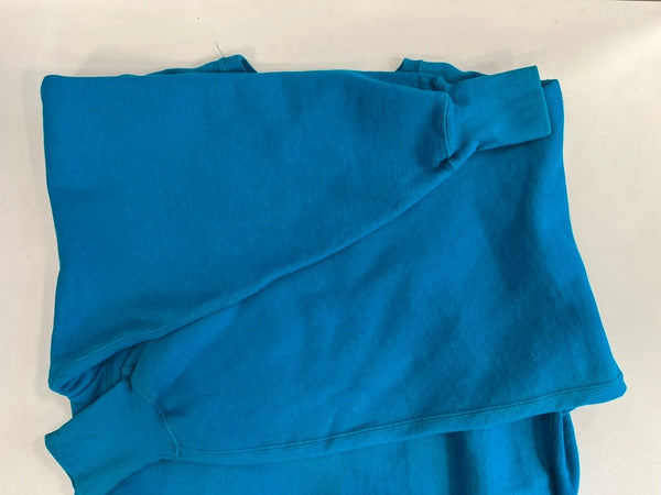 チャンピオン Champion 90s～ ヴィンテージ vintage 刺繍タグ リバースウィーブ REVERSE WEAVE ワンポイントロゴ USA製 アメリカ製 XL スウェット ブルー LLサイズ 101MT-4474