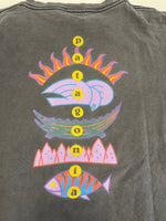 パタゴニア PATAGONIA 90s Vintage ヴィンテージ 雪なしタグ USA製 生態系 絶滅危惧種 プリントTシャツ 半袖カットソー 墨黒 XL Tシャツ ブラック LLサイズ 101MT-4700
