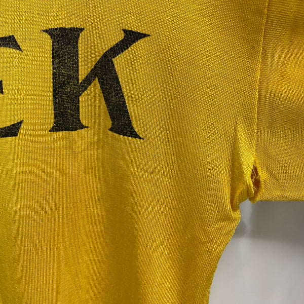 【曜日割引対象外】 チャンピオン Champion 50's 60's フットボールT Tシャツ イエロー 201MT-4229 VB