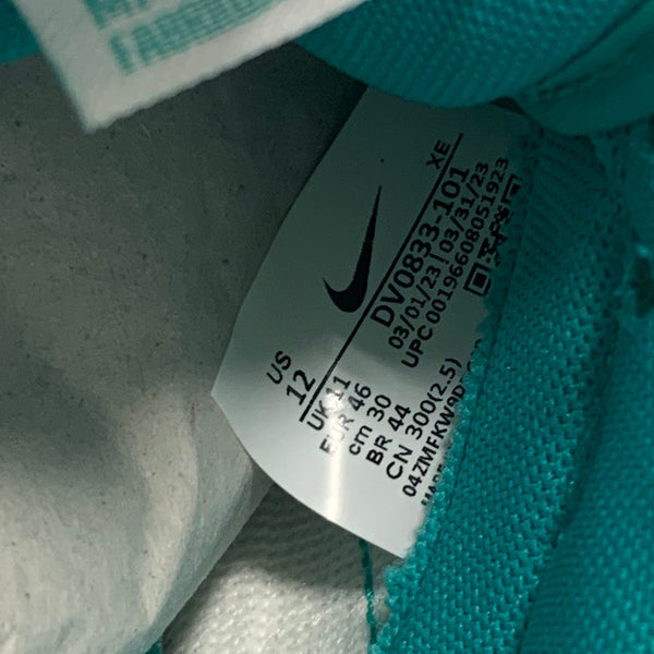 ナイキ NIKE NIKE DUNK LOW RETRO DV0833-101 メンズ靴 スニーカー グリーン 30.0cmサイズ 201-shoes1212