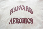 チャンピオン Champion 90s REVERSE WEAVE HARVARD AEROBICS 90's リバースウィーブ 刺繍タグ ハーバードエアロビクス スウェット グレー Mサイズ 103MT-2697