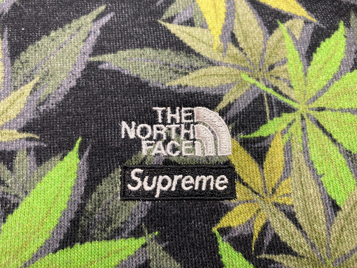 ノースフェイス THE NORTH FACE Supreme 23AW Leaf Hooded Sweatshirt ...