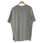 ナツメグ NUTMEG NBA シカゴブルズ Chicago Bulls デニスロッドマン DENNIS RODMAN Tシャツ グレー Lサイズ 201MT-4613