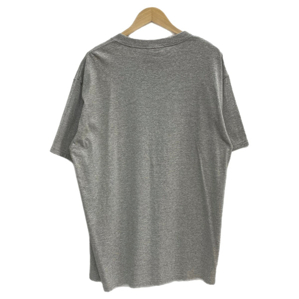 ナツメグ NUTMEG NBA シカゴブルズ Chicago Bulls デニスロッドマン DENNIS RODMAN Tシャツ グレー Lサイズ 201MT-4613