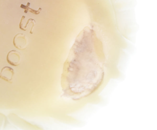 アディダス adidas Yeezy Boost 350 V2イージー ブースト 350 V2 スニーカー グリーン AHQ2060  メンズ靴 スニーカー グリーン 26cm 103S-1104