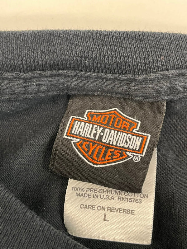 ハーレーダビッドソン Harley-Davidson 00’s  バーアンドシールドロゴ モーターサイクル パイレーツ 海賊 フレイム ファイヤーパターン 袖プリント 両面プリント VINTAGE ヴィンテージ ポケット ロングスリーブ ロンT ブラック Lサイズ 101MT-4572