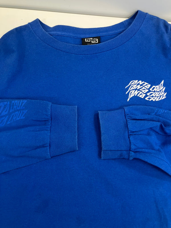 サンタクルーズ SANTA CRUZ 00's NHSボディ スクリーミングハンド ロゴ 袖プリント ロンT  VINTAGE ヴィンテージ ロンT ブルー Lサイズ 101MT-4463