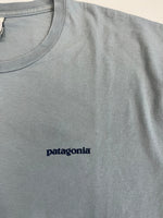 パタゴニア PATAGONIA 90s Vintage ヴィンテージ Benetical T's 浮世絵プリント 水色 XL Tシャツ ブルー LLサイズ 101MT-4697