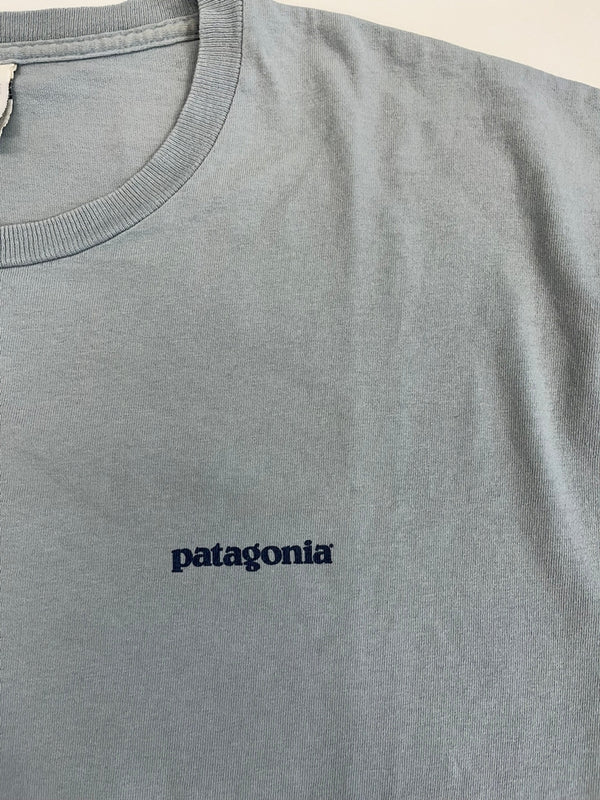 パタゴニア PATAGONIA 90s Vintage ヴィンテージ Benetical T's 浮世絵プリント 水色 XL Tシャツ ブルー LLサイズ 101MT-4697