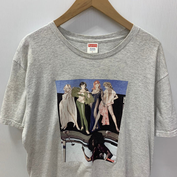 シュプリーム SUPREME American Picture Tee Tシャツ グレー Lサイズ 201MT-4042