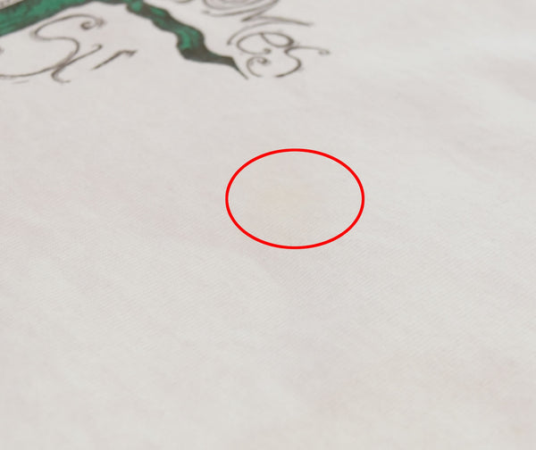 US US古着 90's the Aussie T company ひまわりロングスリーブTシャツ Here Come The Sun 向日葵 Sun flower ロンT ホワイト Sサイズ 103MT-3027