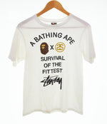 ステューシー STUSSY × ア ベイシング エイプ A BATHING APE SURVIVAL OF THE FITTEST コラボ Tee ストックロゴ SSリンク ロゴ Tシャツ ホワイト Sサイズ 103MT-3101