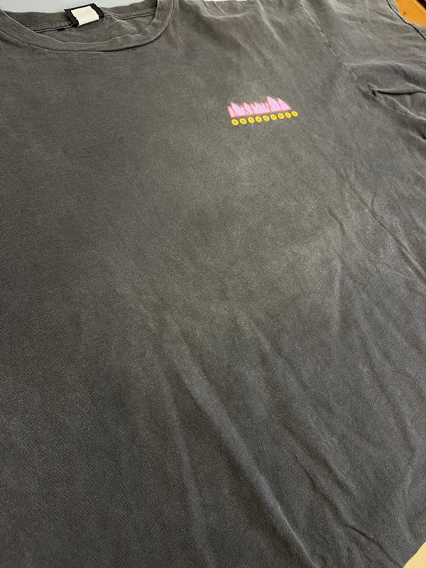 パタゴニア PATAGONIA 90s Vintage ヴィンテージ 雪なしタグ USA製 生態系 絶滅危惧種 プリントTシャツ 半袖カットソー 墨黒 XL Tシャツ ブラック LLサイズ 101MT-4700