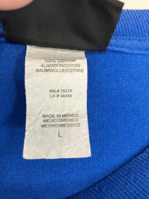 サンタクルーズ SANTA CRUZ 00's NHSボディ スクリーミングハンド ロゴ 袖プリント ロンT  VINTAGE ヴィンテージ ロンT ブルー Lサイズ 101MT-4463