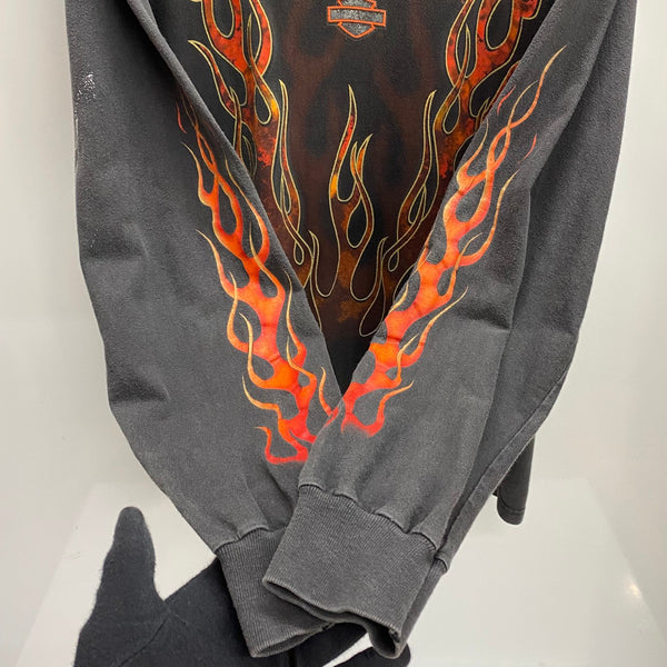 【曜日割引対象外】 ハーレーダビッドソン HARLEY-DAVIDSON 90's V FLAME USA製 フレイムパターン ロンT ブラック Mサイズ 201MT-4597 VB